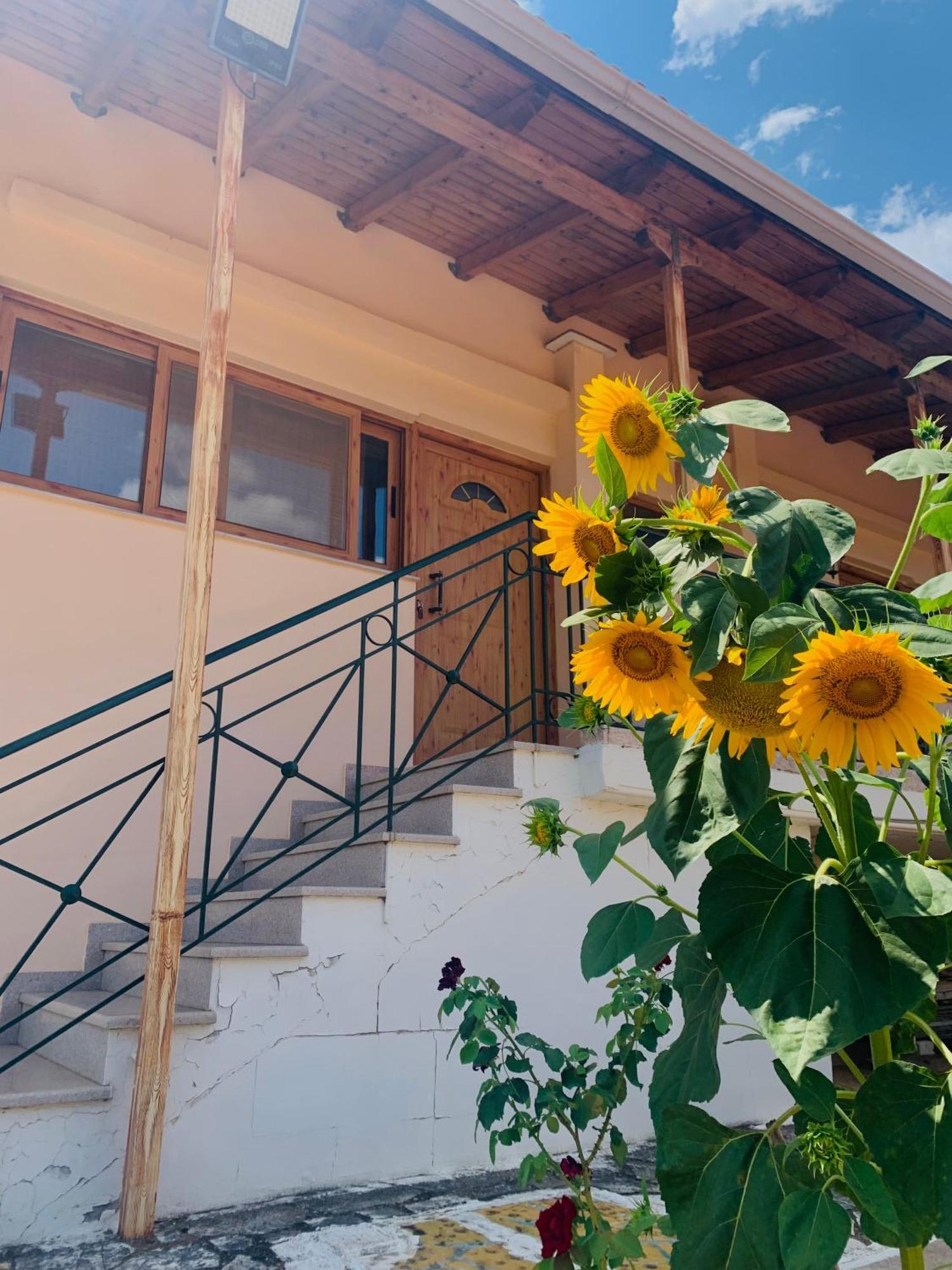 Apartamento Bokas Exotic House Tragana  Exterior foto